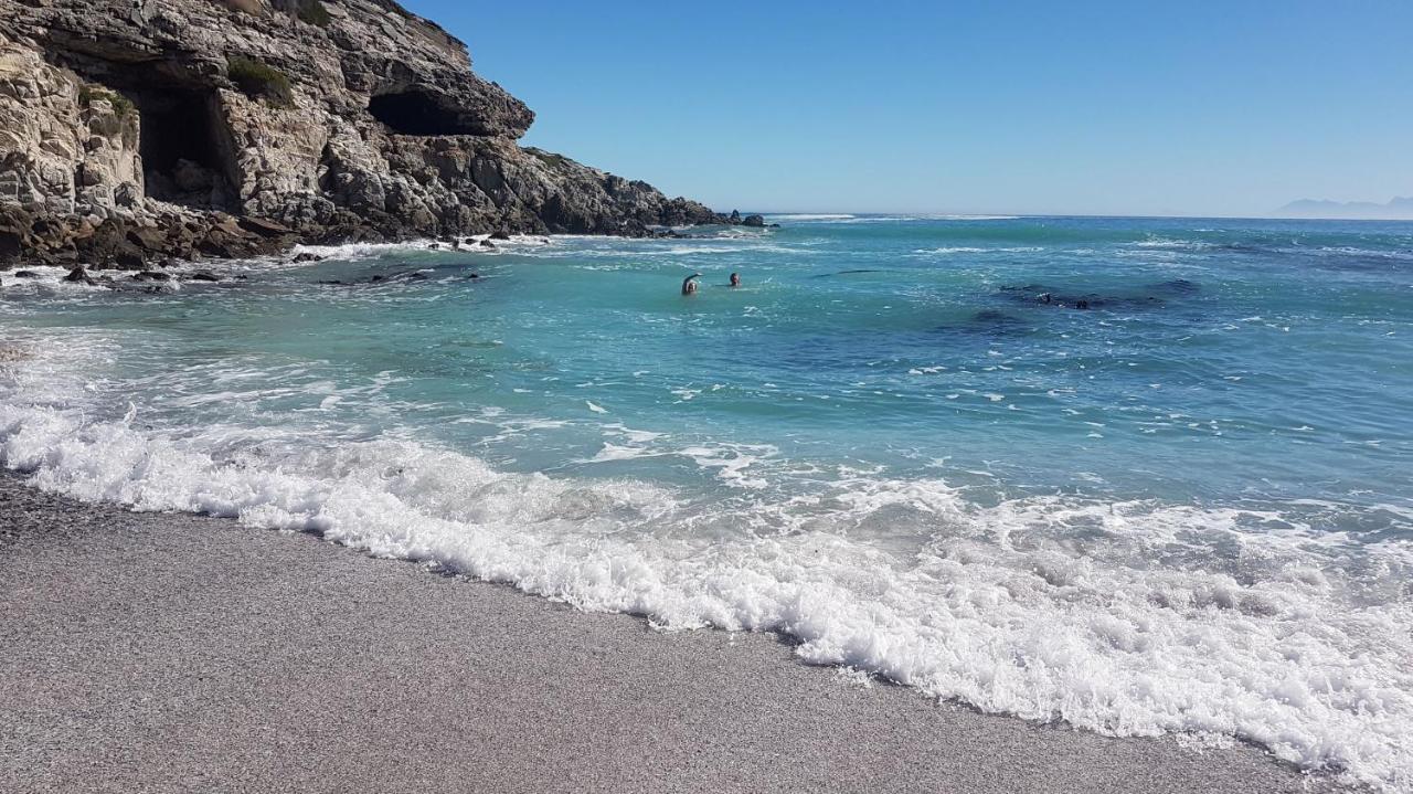 Whale Cove A103 Apartment De Kelders Luaran gambar
