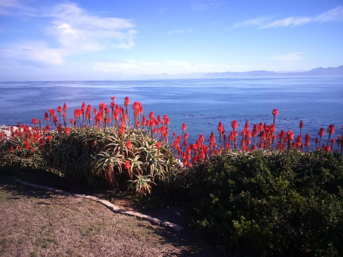 Whale Cove A103 Apartment De Kelders Luaran gambar